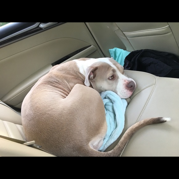 Not to buy - Picture 4 of 4